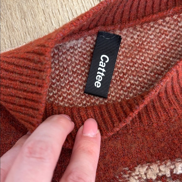 Rusty Red Sweater with Bear Pattern - Picture 2 of 6